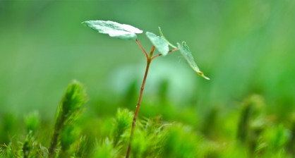 节能环保网站建设方案